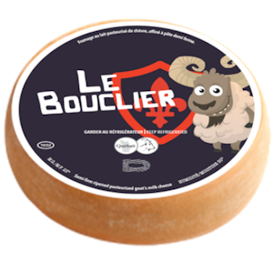 Bouclier  - (150g - 175g)