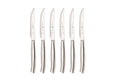 Premium Stainless Steel Steak Knives – 6 Piece