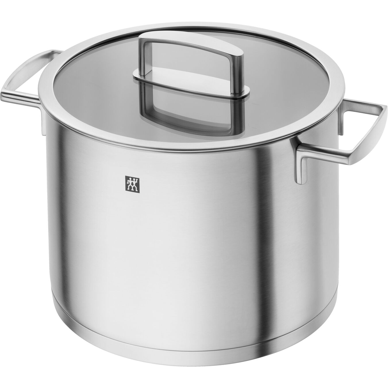 Vitality Stainless Steel Stock Pot - 8 L