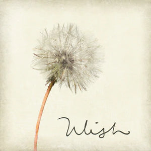Ceramic Coaster - Wish