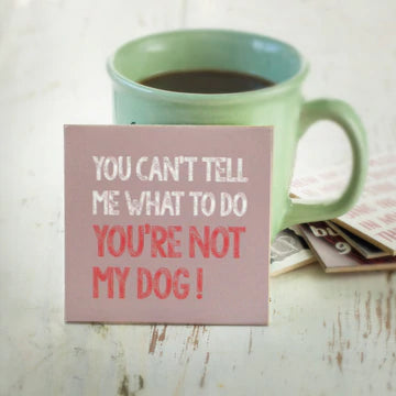 Coaster - You Can't Tell Me What to Do