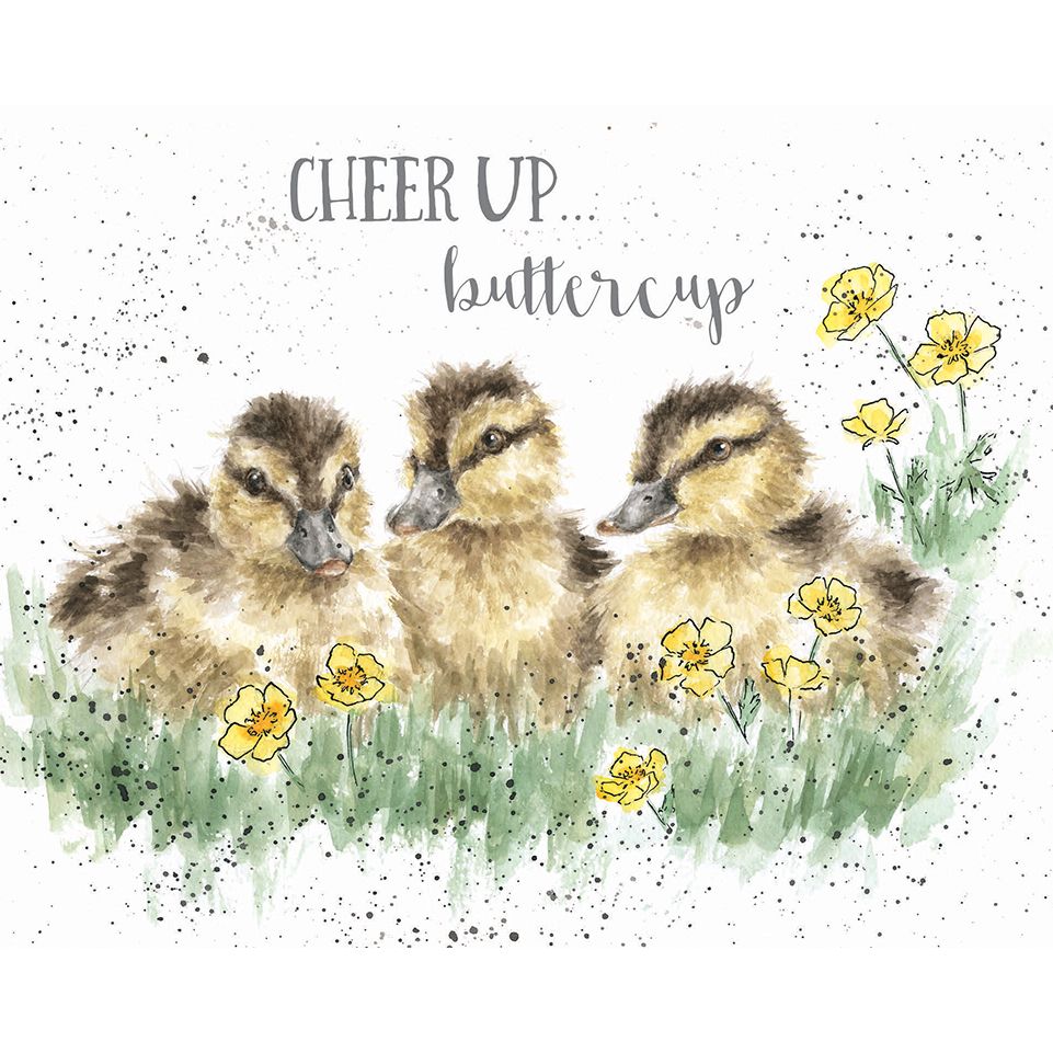 Card - Cheer Up - Ducklings