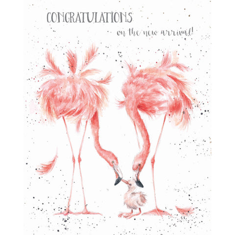 Card - Congratulations - Flamingos
