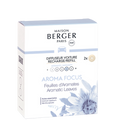 Car Diffuser Refill - Aroma Focus – Set of 2