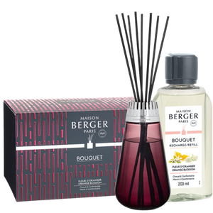 Reed Diffuser - Amphora Raspberry