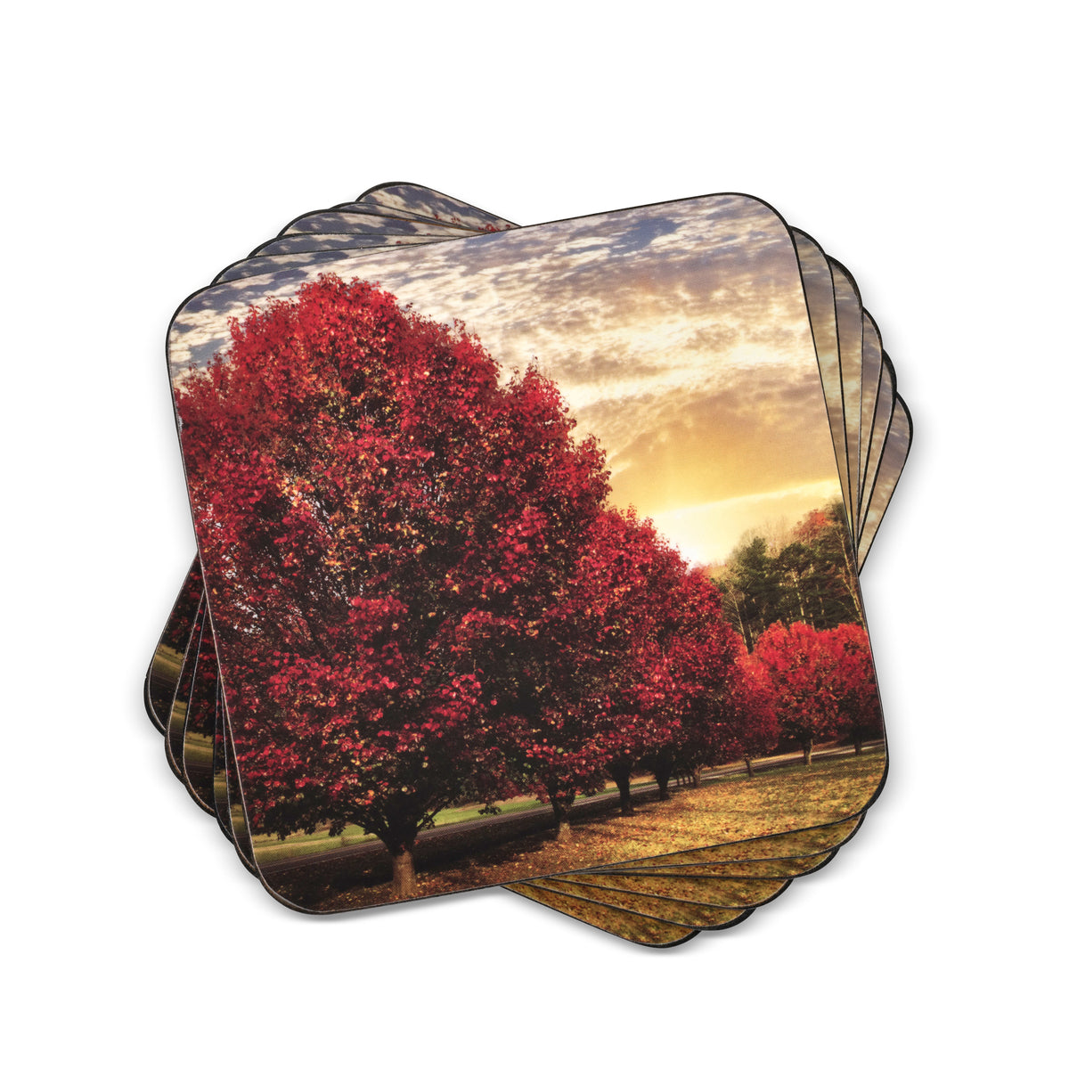 Pimpernel - Coasters - Crimson Trees - Set of 6