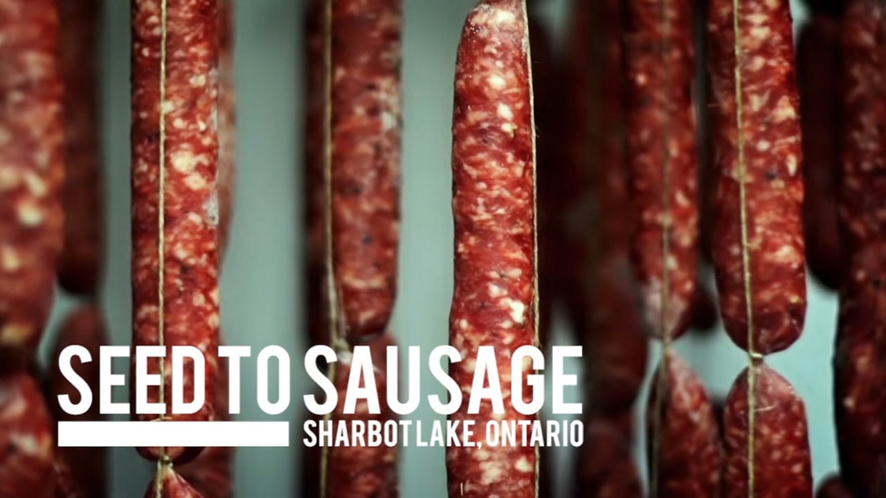 Seed to Sausage  - Chorizo - (150g - 175g)