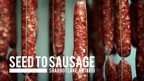 Seed to Sausage  - Chorizo - (150g - 175g)